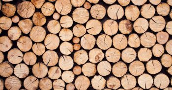 Jak zorganizować transport drewna?